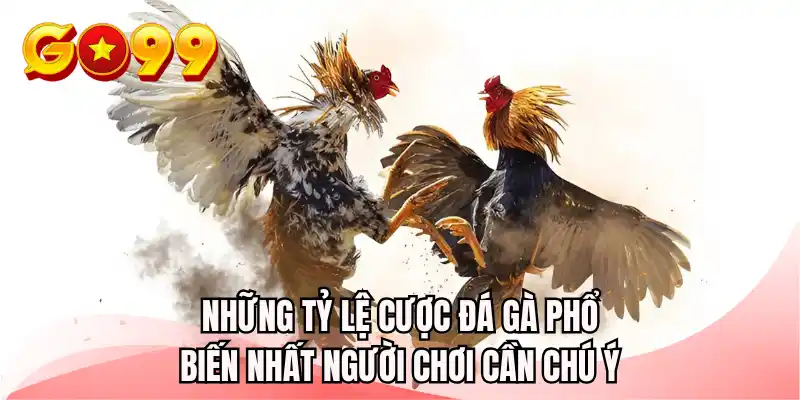 Những tỷ lệ cược đá gà phổ biến nhất người chơi cần chú ý